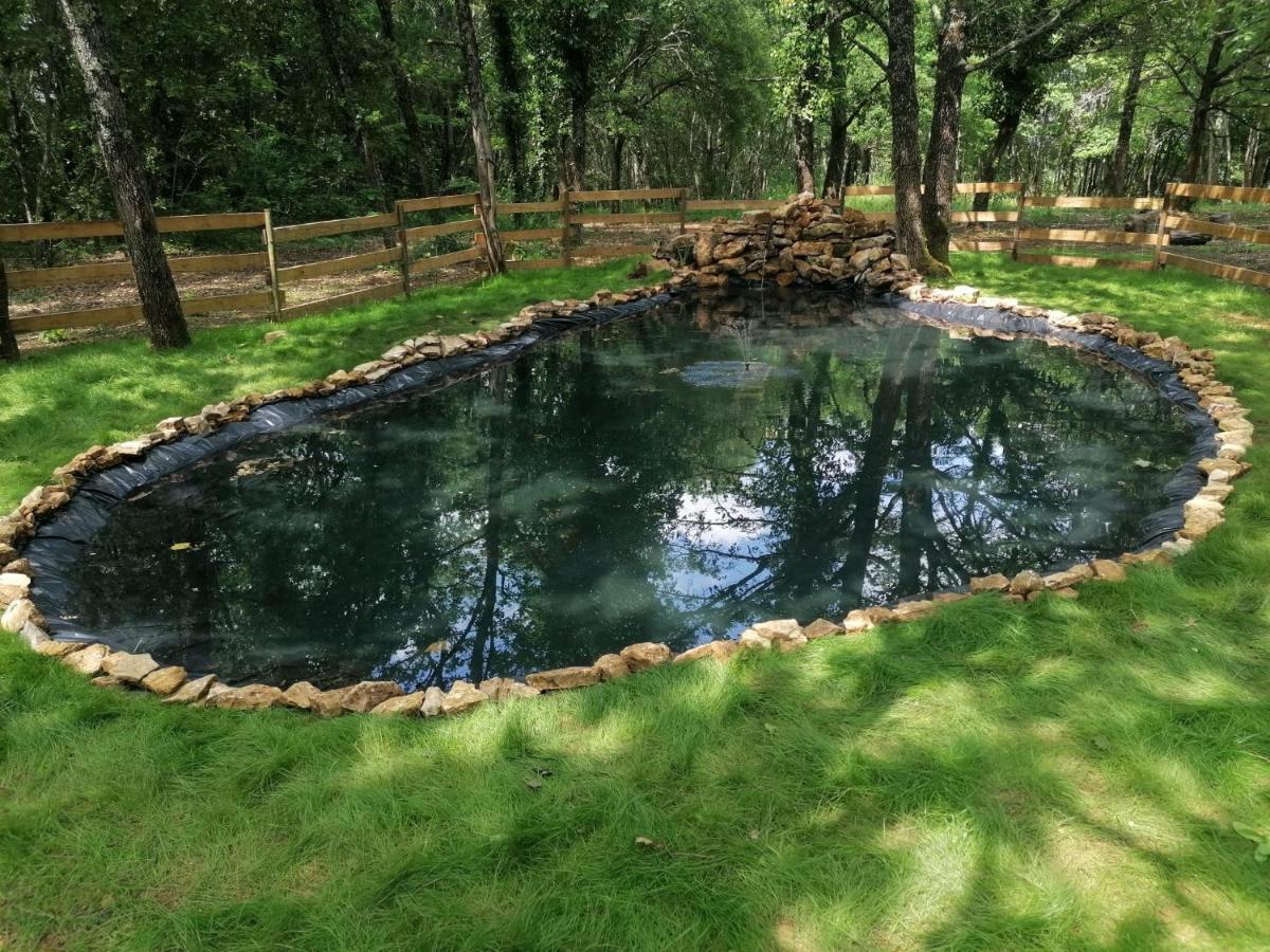 7-Gite-7 Personnes Au Coeur De La Nature /Piscine Saint-Aubin-de-Nabirat Buitenkant foto